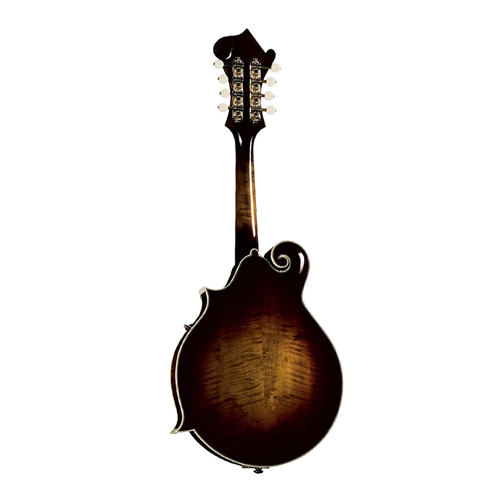 آلة ماندولين موسيقية صوتية للم - مراجعة Mandolin A Style وسعره