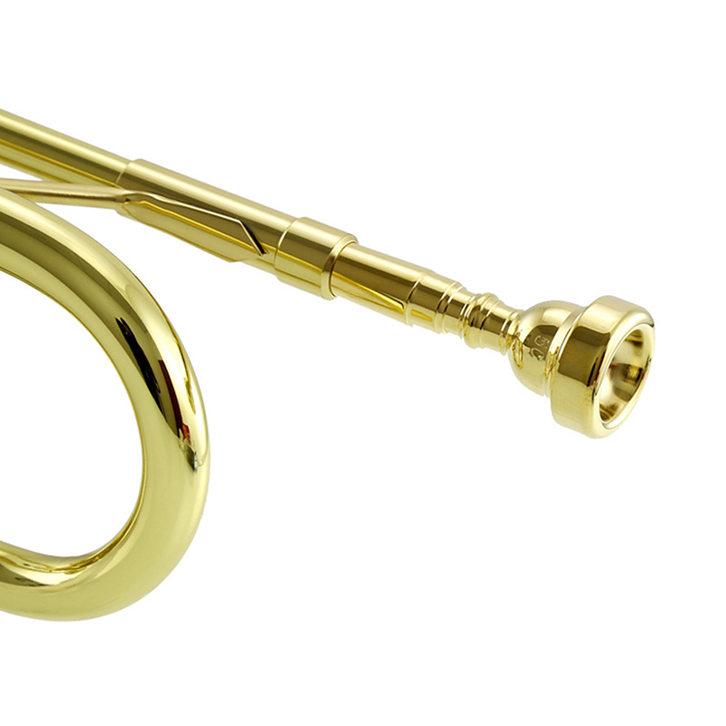 المهنية النحاس فنسنت باخ 351 س - مراجعة Musical Instrument Fagot وسعره