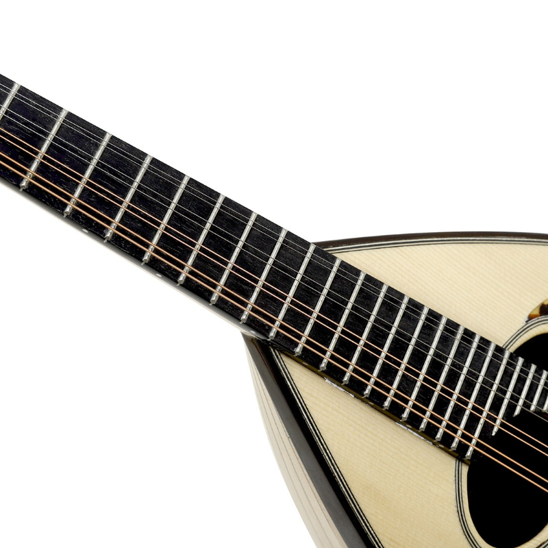 8 سلسلة مندولين المهنية المبتد - مراجعة Mandolin A Style وسعره
