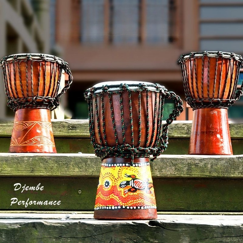 طبلة أفريقية صغيرة للمبتدئين م - مراجعة Musical Instrument African وسعره