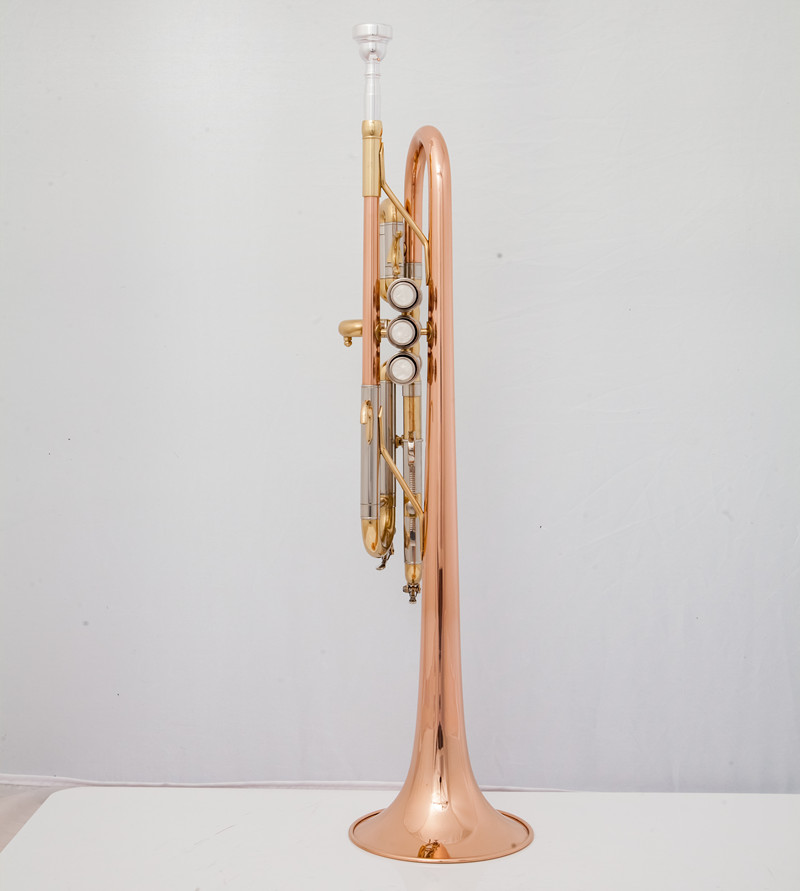المهنية C البوق أدوات الموسيقى - مراجعة Musical Instrument Fagot وسعره