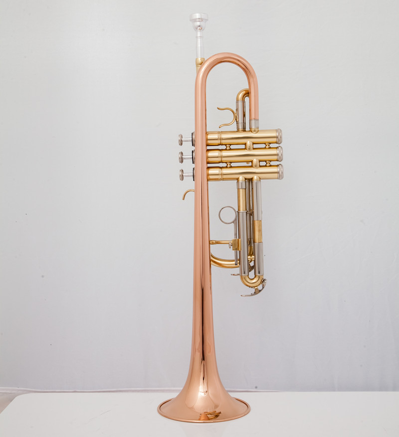 المهنية C البوق أدوات الموسيقى - مراجعة Musical Instrument Fagot وسعره