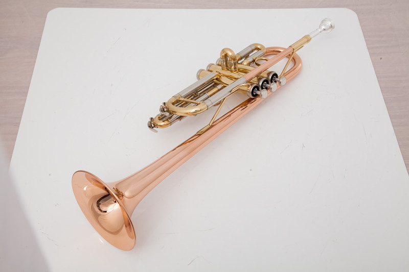 المهنية C البوق أدوات الموسيقى - مراجعة Musical Instrument Fagot وسعره