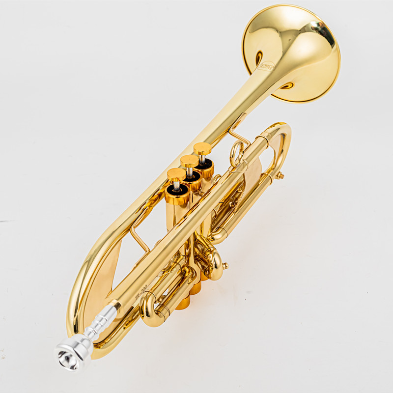 فنسنت BACH 700 Bb البوق B شقة  - مراجعة Musical Instrument Fagot وسعره